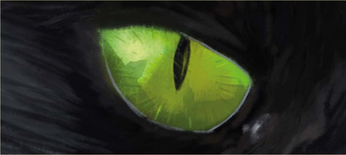 Promocja książki Michała Dłużaka "Kocie oko"